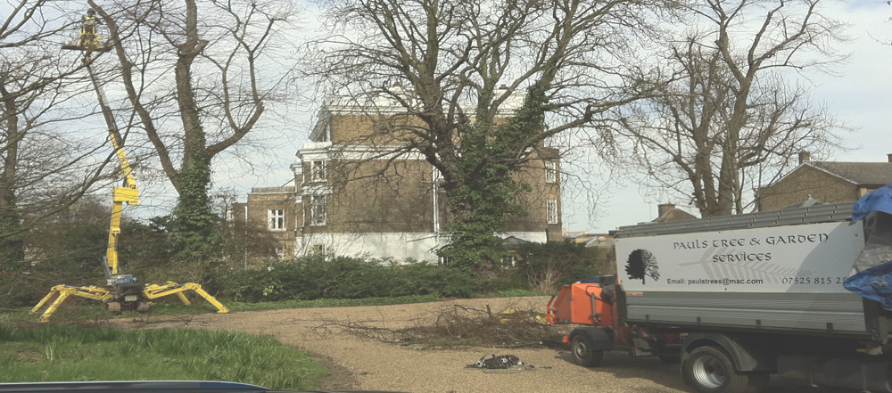 Pauls tree services Waltham Abbey